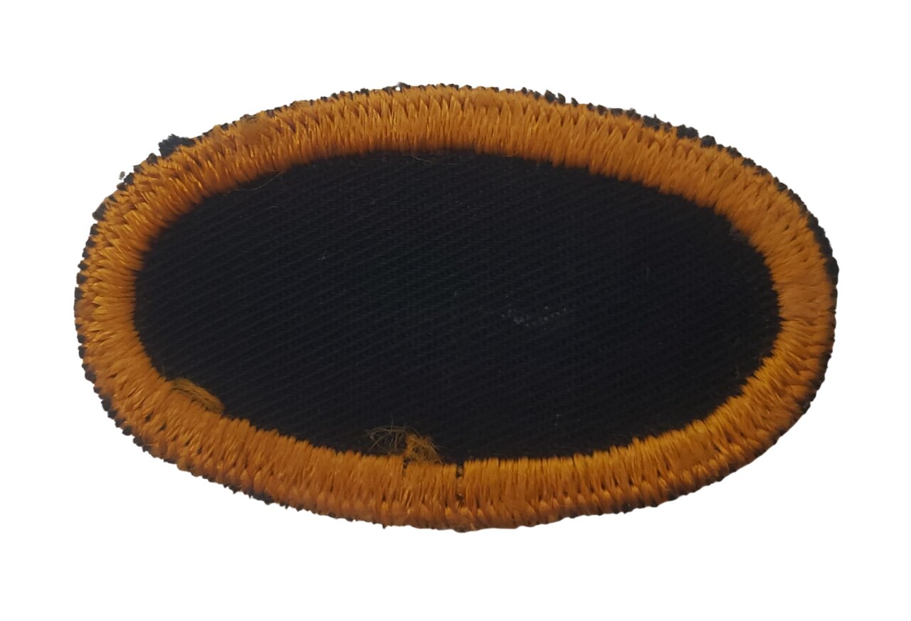 militaria : Ovale  507th PIR 82nd airborne division US WW2